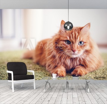 Picture of Portrait of a funny beautiful red fluffy cat with green eyes in the interior pets